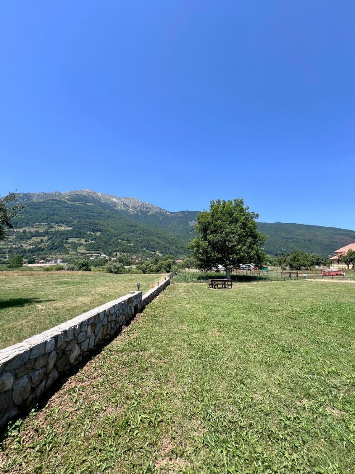 Camp Hotel Lake Views Плав Екстериор снимка